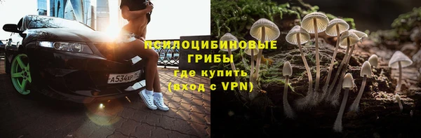 Альфа ПВП Верея