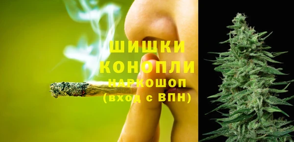 apvp Сосновый Бор