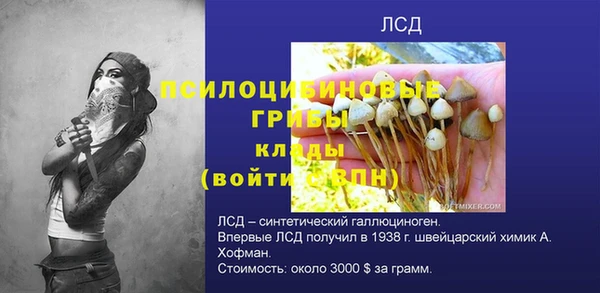 Альфа ПВП Верея